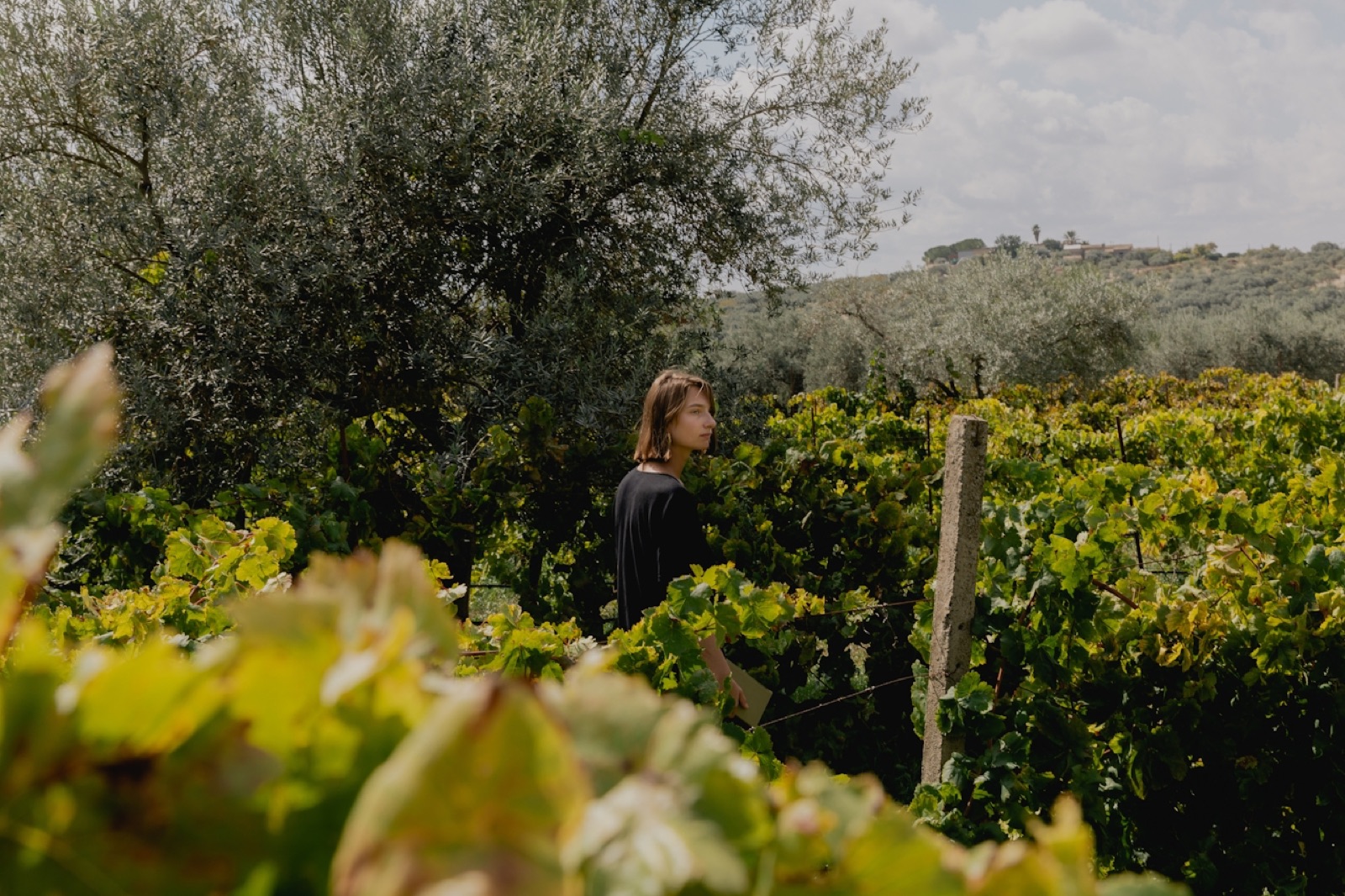 Tutto Bene student walking through a vineyard in Ortigia